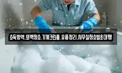 소독방역.외벽청소.기계크린룸.유품정리.사무실청소벌초대행