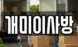 개미이사방