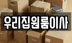 우리집원룸이사