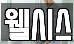 웰시스