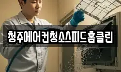 청주에어컨청소스피드홈클린