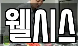 웰시스
