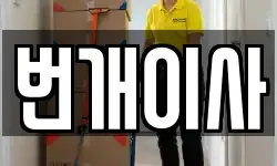 번개이사