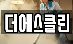 더에스클린