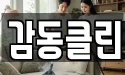 충북 청주시 청원구 오창읍 청소,입주청소,사무실청소,에어컨청소