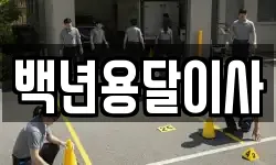 백년용달이사