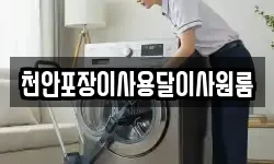 천안포장이사용달이사원룸