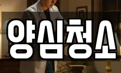 양심청소