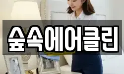숲속에어클린