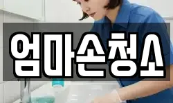 엄마손청소