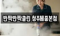 반짝반짝클린 청주세종본점