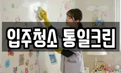 입주청소 통일크린