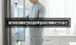 캐리어삼성에어컨청소설치벽걸이시스템에어컨가스충전
