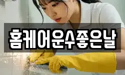 홈케어운수좋은날