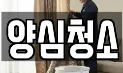 양심청소