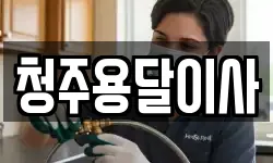 청주용달이사