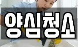 양심청소