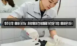 청주오창 에바크리닝 차량에어컨냄새제거전문기업 에바몬스터