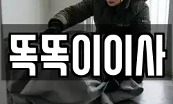 똑똑이이사