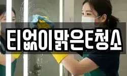 티없이맑은E청소