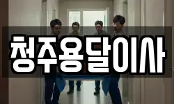 청주용달이사