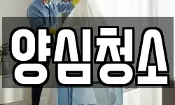 양심청소