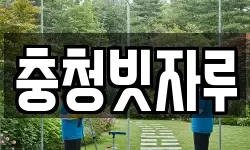 충청빗자루