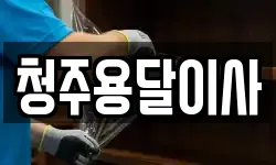 청주용달이사