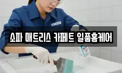 소파 매트리스 카페트 일품홈케어