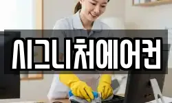 시그니처에어컨