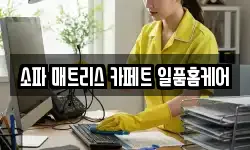 충북 청주시 흥덕구 오송읍 청소,입주청소,사무실청소,에어컨청소
