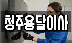 청주용달이사