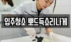 입주청소 뽀드득소리나게