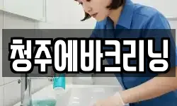 청주에바크리닝
