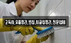 고독사,유품정리,빈집,시골집정리,전문업체