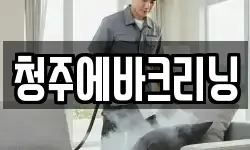 청주에바크리닝