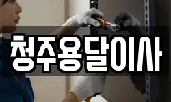청주용달이사