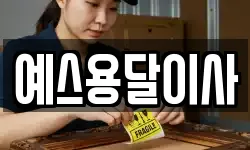 예스용달이사