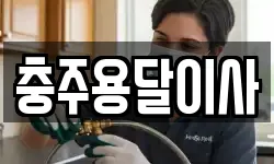 충주용달이사