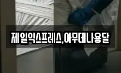 충북 충주시 노은면 이사,용달이사,포장이사,원룸이사,보관이사