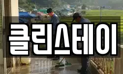 클린스테이