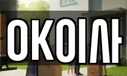 OK이사