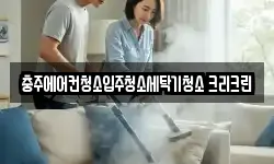 충주에어컨청소입주청소세탁기청소 크리크린