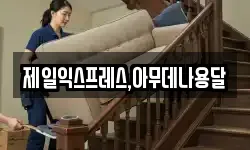 제일익스프레스,아무데나용달
