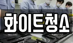 화이트청소