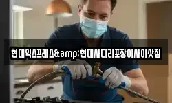 현대익스프레스&현대사다리포장이사이삿짐
