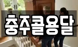 충주콜용달