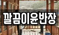 깔끔이윤반장