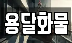 용달화물