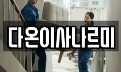 다온이사나르미